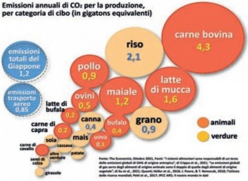 Viande, riz, terre et CO2